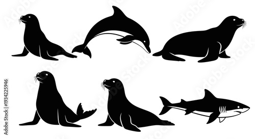 Marine Animals Silhouettes Set: Dolphin, Shark, and Seals Collection