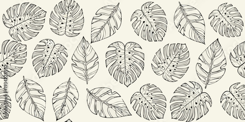 A seamless pattern of intricately drawn monstera deliciosa leaves