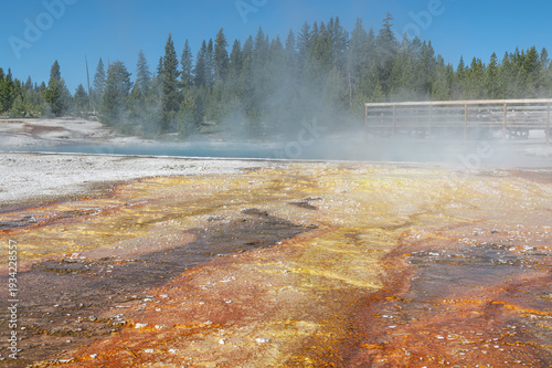 Wallpaper Mural Steaming Geothermal runoff  at west thumb geyser basin in Yellowstone Park. Wyoming, USA Torontodigital.ca