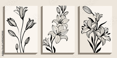 Minimalist triptych featuring elegant black line drawings of lily flowers