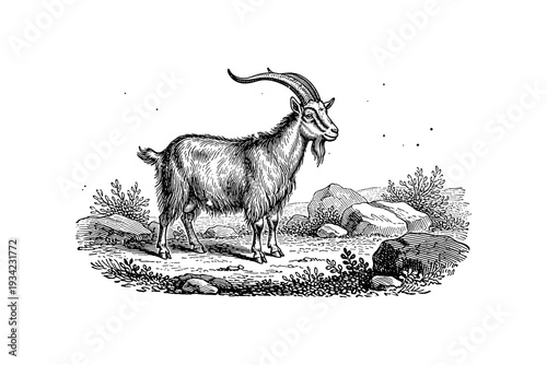 Vintage goat engraving art: detailed wildlife scene with rocky landscape