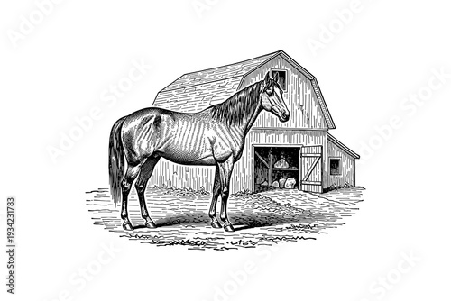 Detailed farm scene with horse and barn in vintage engraving style