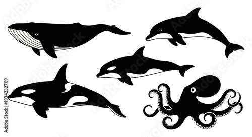 Ocean creatures vector silhouette collection: whale, dolphin, orca, octopus