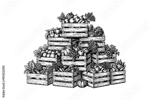 Hand-drawn fruit and vegetable crates in rustic arrangements