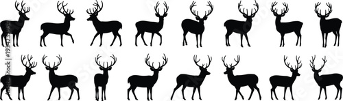 Black deer silhouette illustration featuring sixteen unique antler shapes and body postures, wildlife artwork for forest nature, hunting design, 