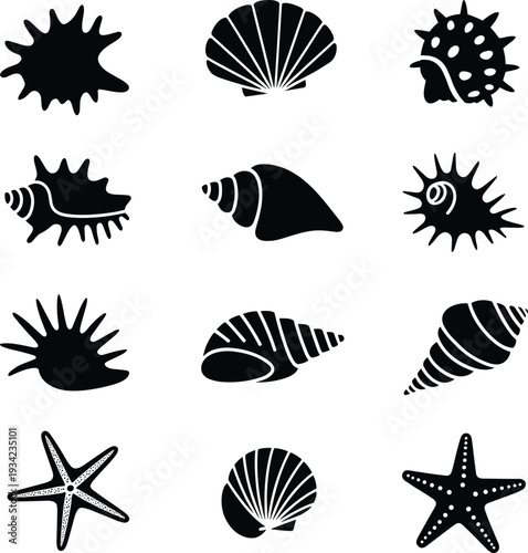 Black seashell silhouettes collection, marine shell icons set, starfish conch ocean beach nature vector illustration, isolated minimalist tropical design elements