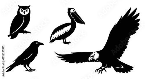Bird Silhouettes Collection: Owl, Pelican, Crow, and Eagle Vector Art