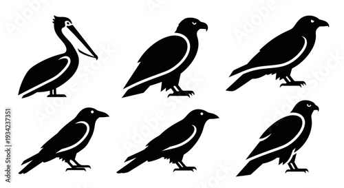 Bird silhouettes set featuring pelican, eagle, and various corvids on white background