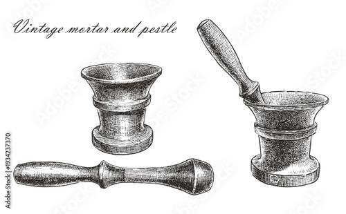 Vintage mortar and pestle, kitchen utensils, realistic hand drawn illustration, vector isolated on white background