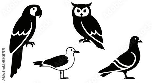 Bird silhouettes set: parrot, owl, seagull, and pigeon icons on white background