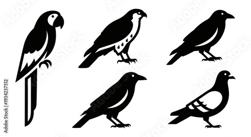 Collection of Bird Silhouettes: Parrot, Falcon, Crow, and Pigeon Icons