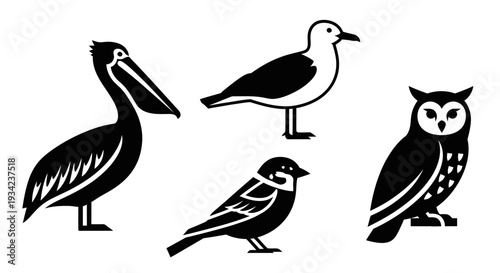 Collection of Diverse Bird Silhouettes: Pelican, Seagull, Sparrow, and Owl Icons