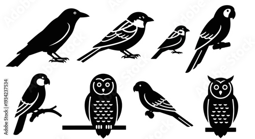 Collection of diverse bird silhouettes, black graphic icons on white background, avian wildlife set