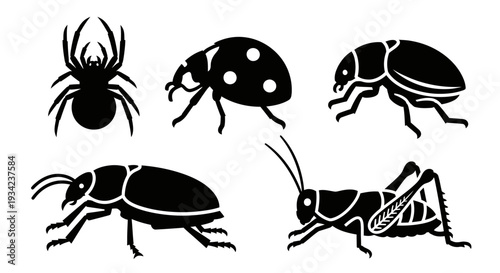 Collection of Various Insect and Bug Silhouettes Vector Set