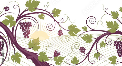 Vineyard Landscape with Grapes and Sunrise - Decorative Border