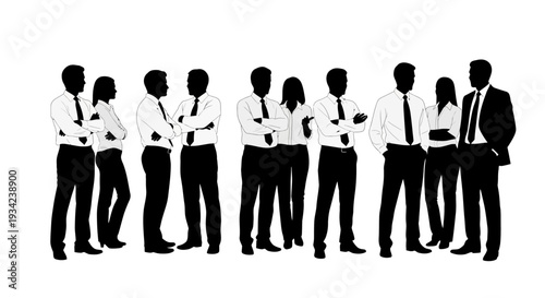 Silhouettes of Business Professionals Standing Together.