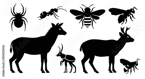 Diverse Animal and Insect Silhouettes Collection on White Background