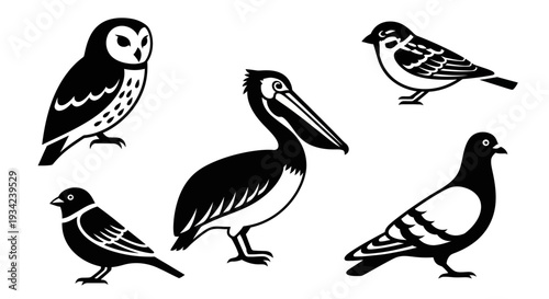 Diverse bird collection: owl, pelican, sparrow, and pigeon in black and white illustration