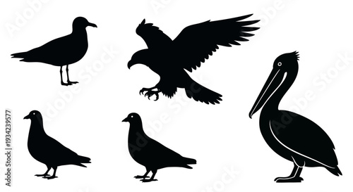 Diverse Bird Silhouettes Collection: Eagle, Pelican, Seagull, and Pigeons