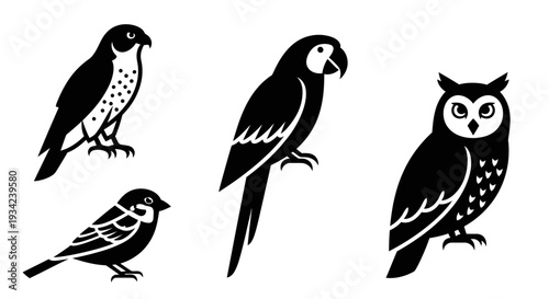Diverse Bird Silhouettes Collection: Falcon, Parrot, Sparrow, and Owl Icons