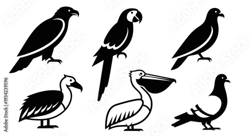 Diverse Bird Silhouettes Collection: Raven, Macaw, Pelican, Dodo, and Pigeons