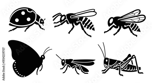 Diverse Insect Silhouettes Collection: Ladybug, Wasp, Butterfly, Grasshopper, Fly Icons
