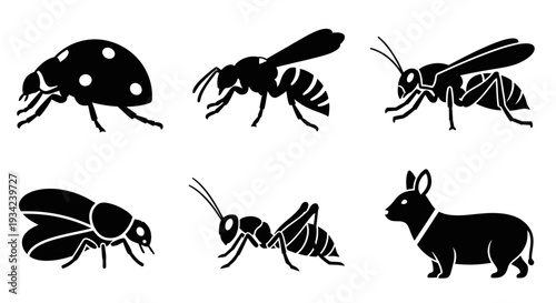 Diverse Insect and Animal Silhouettes Collection: Ladybug, Wasp, Beetle, Ant, and Rabbit Icons