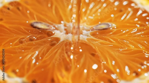 Close up of a citrus fruit section showing vibrant color and texture details