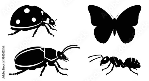 Diverse insect silhouettes: ladybug, butterfly, beetle, and ant graphic elements