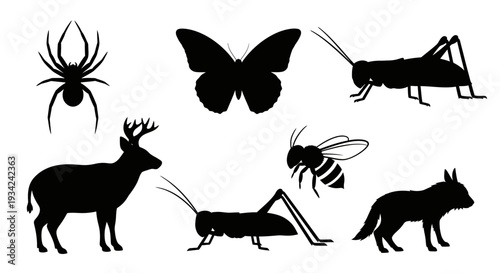 Diverse Wildlife Silhouettes Collection: Insects and Animals