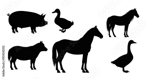Farm Animals Silhouettes Collection: Pig, Horses, and Ducks on White Background