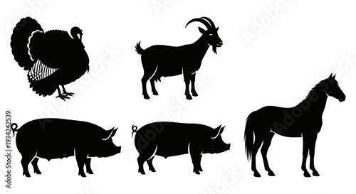 Farm Animals Silhouettes Collection: Turkey, Goat, Pigs, and Horse Vector Icons
