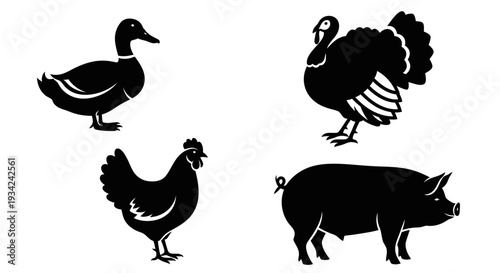 Farm Animals Silhouettes: Duck, Turkey, Chicken, and Pig Icons