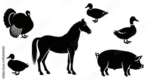 Farm Animals Silhouettes Set: Horse, Pig, Turkey, and Ducks Icons