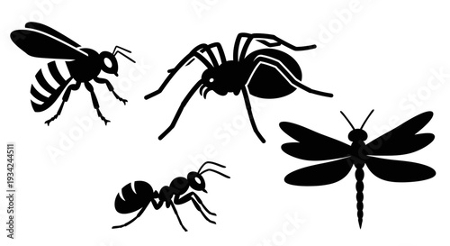 Insect and Arthropod Silhouettes Collection: Wasp, Spider, Ant, and Dragonfly Vector Icons