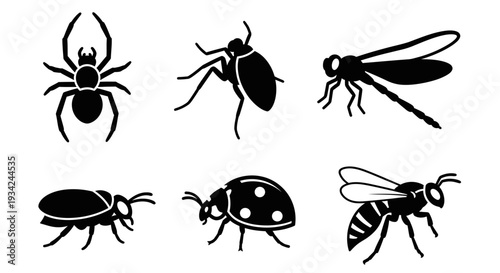 Insect and Bug Silhouettes Collection: Spider, Beetle, Dragonfly, Ant, Ladybug, Wasp Icons