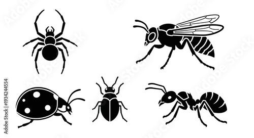 Insect and Bug Silhouettes Set: Spider, Bee, Ladybug, Beetle, Ant Icons