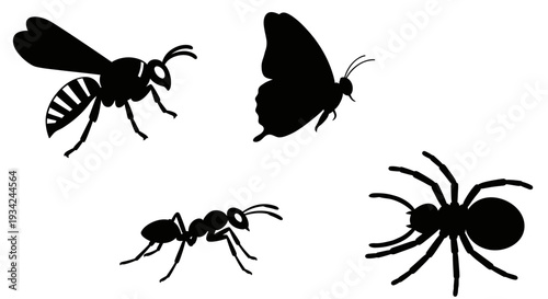 Insect and Bug Silhouettes: Wasp, Butterfly, Ant, and Spider Vector Icons