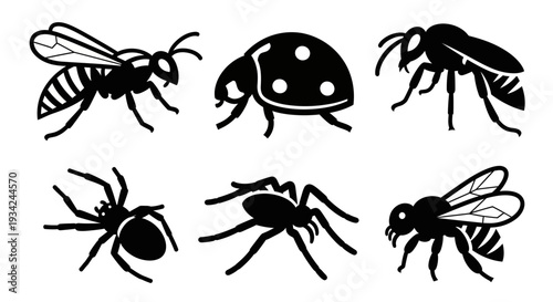 Insect and Spider Silhouettes Icon Set