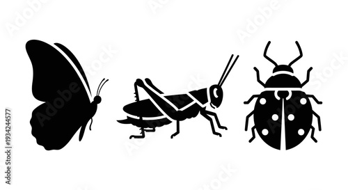 Insect silhouettes: butterfly, grasshopper, ladybug icons. Nature bugs collection.