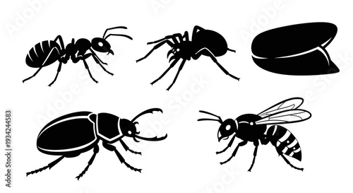 Insect Silhouettes Collection: Ant, Beetle, and Wasp Vector Illustrations