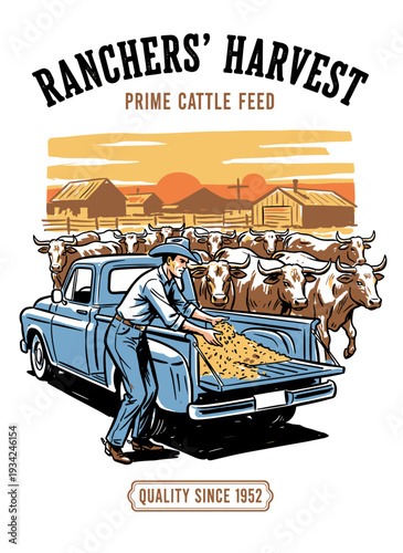 Retro western graphic of rancher feeding cattle from vintage pickup truck on farm, vector illustration for agricultural branding