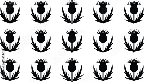 Black Vector Silhouette Set of Scottish Thistle Flowers with Sharp Leaves and Thorns for Botanical Design, Floral Patterns, Garden Symbols, and Traditional Heritage Projects.