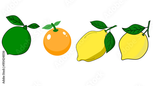 seamless citrus pattern, lemon slice isolated on white background, Freshness Orange Slice Frame, Fresh Orange Slice Illustration, orange vektor illustration, lime dan lemon vektor illustration.	
