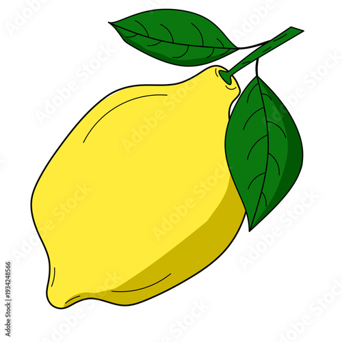 seamless citrus pattern, lemon slice isolated on white background, Freshness Orange Slice Frame, Fresh Orange Slice Illustration, orange vektor illustration, lime dan lemon vektor illustration.	