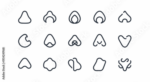 Nose shapes line icons set. Human face parts