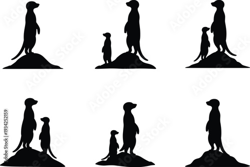 Black meerkat silhouettes in upright alert poses on mounds, artistic vector illustration highlighting social behavior, vigilance, wildlife group dynamics