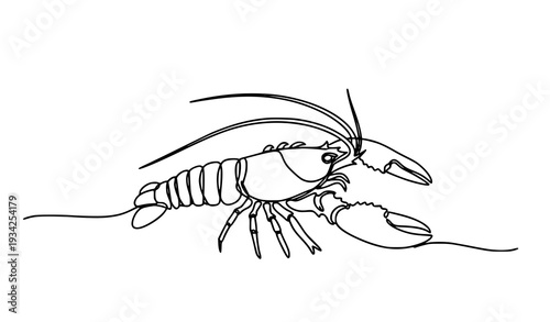 Continuous Line Lobster Crayfish Vector One Stroke Marine Animal Outline Illustration Isolated on White
