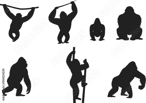 Black gorilla silhouette illustration featuring multiple poses including climbing, walking, sitting, and crouching, primate wildlife artwork for