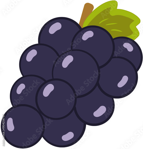 vector illustration of plums